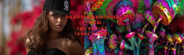 сатива Белокуриха