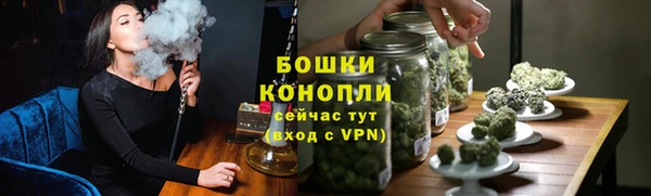 шишки Беломорск