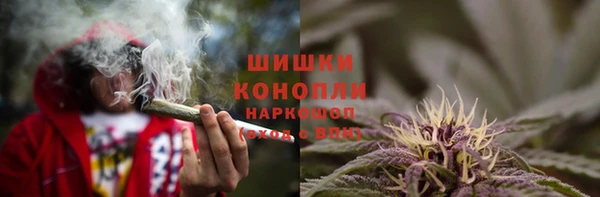 ПСИЛОЦИБИНОВЫЕ ГРИБЫ Белоозёрский