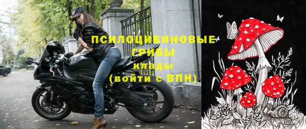 сатива Белокуриха