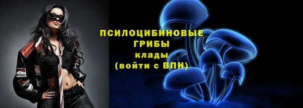 ПСИЛОЦИБИНОВЫЕ ГРИБЫ Белоозёрский