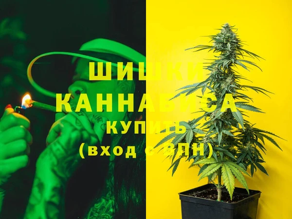 ПСИЛОЦИБИНОВЫЕ ГРИБЫ Белоозёрский