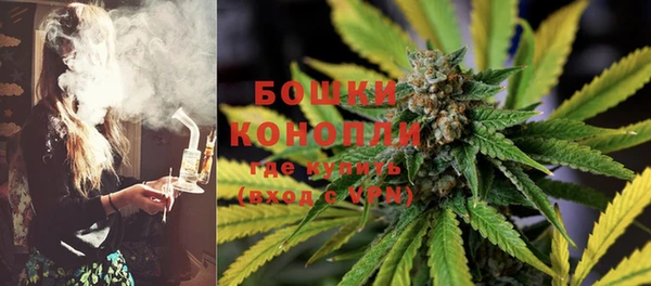 ПСИЛОЦИБИНОВЫЕ ГРИБЫ Белоозёрский
