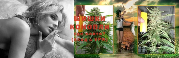 сатива Белокуриха